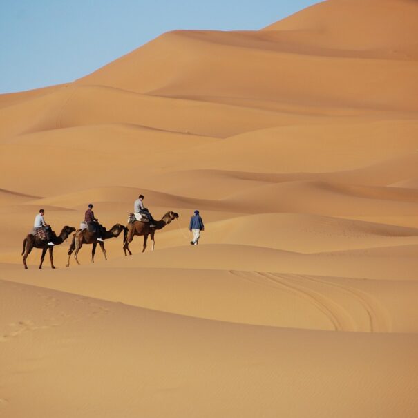 Excursión de 2 días de Marrakech a Zagora