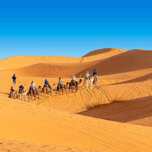 2 Noches de Trekking en Camello en Merzouga