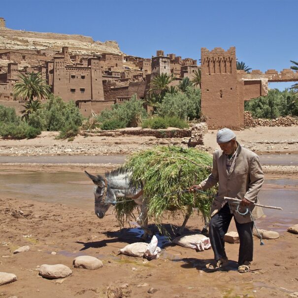 Tour De 5 Días Desde Marrakech A Fez